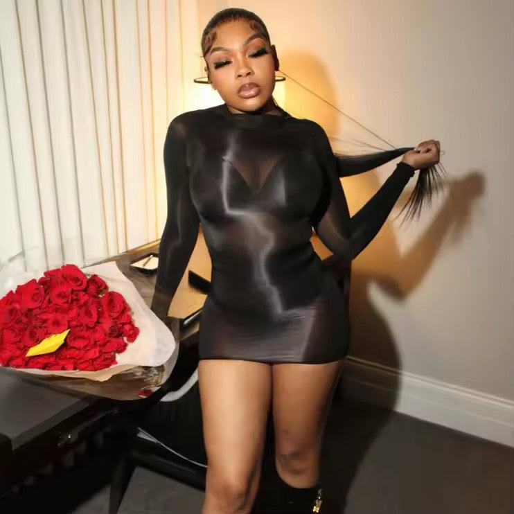 Silky Sheer Mesh dress long sleeve