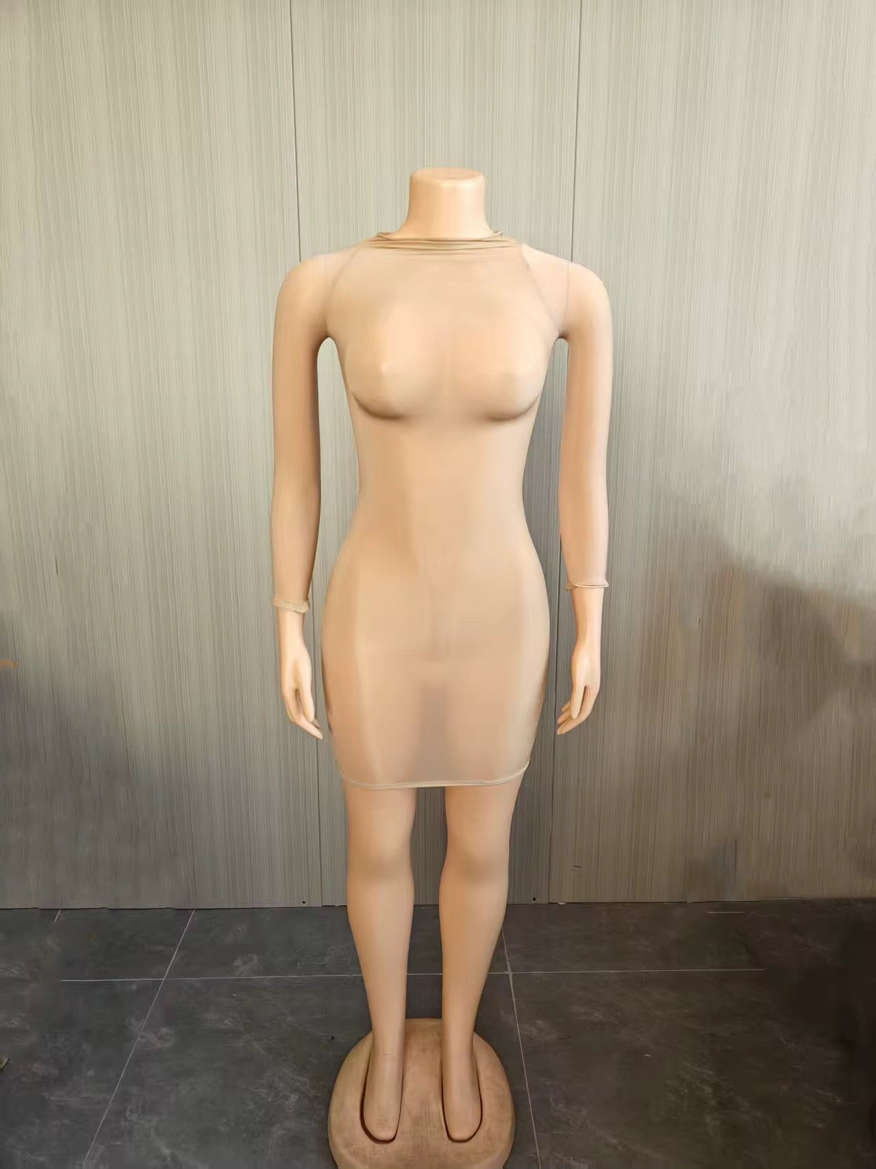 Silky Sheer Mesh dress long sleeve