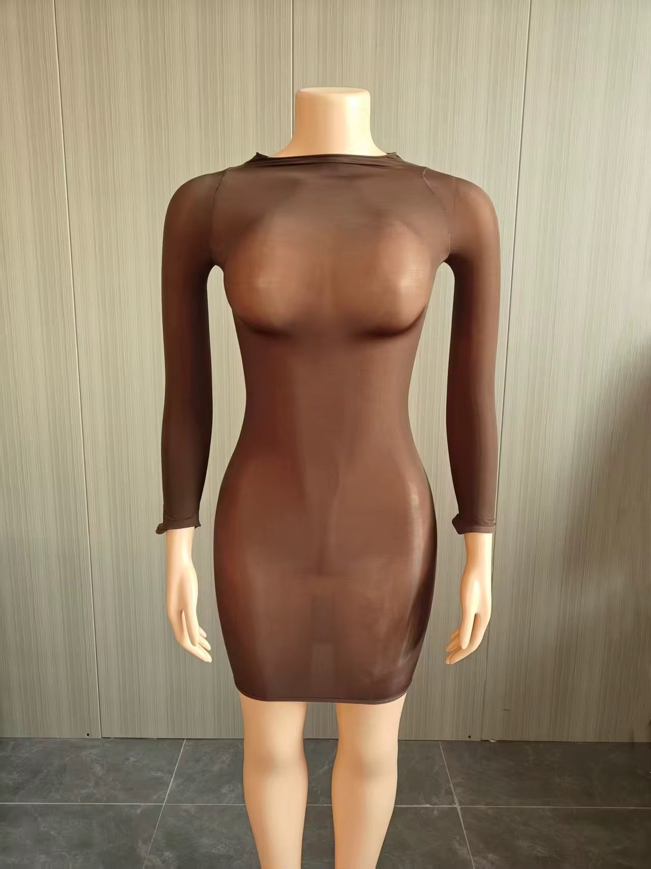 Silky Sheer Mesh dress long sleeve